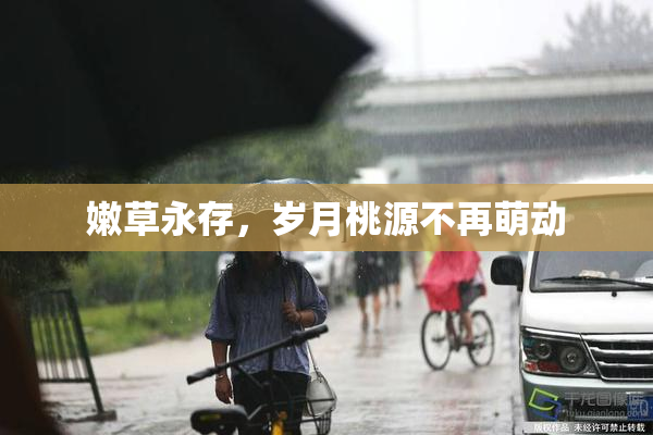 嫩草永存，岁月桃源不再萌动