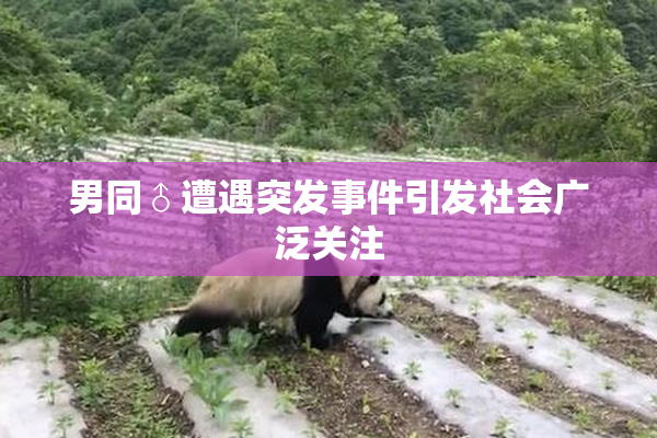 男同♂遭遇突发事件引发社会广泛关注