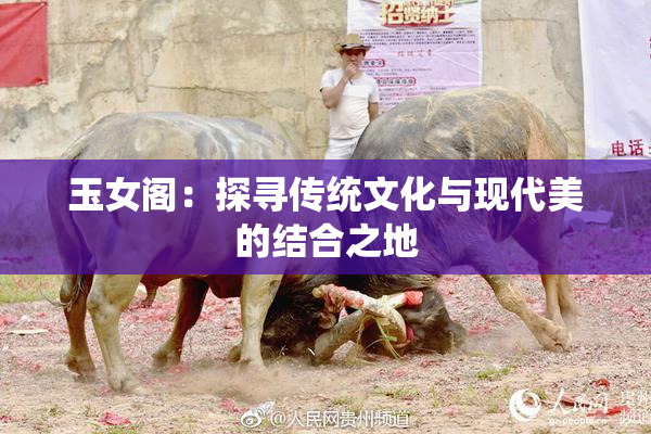 玉女阁：探寻传统文化与现代美的结合之地