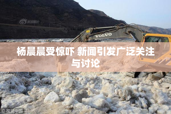 杨晨晨受惊吓 新闻引发广泛关注与讨论