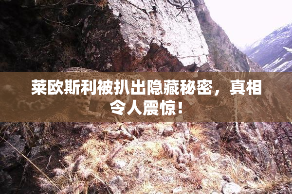 莱欧斯利被扒出隐藏秘密，真相令人震惊！