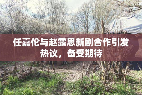 任嘉伦与赵露思新剧合作引发热议，备受期待