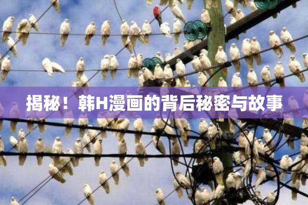 揭秘！韩H漫画的背后秘密与故事