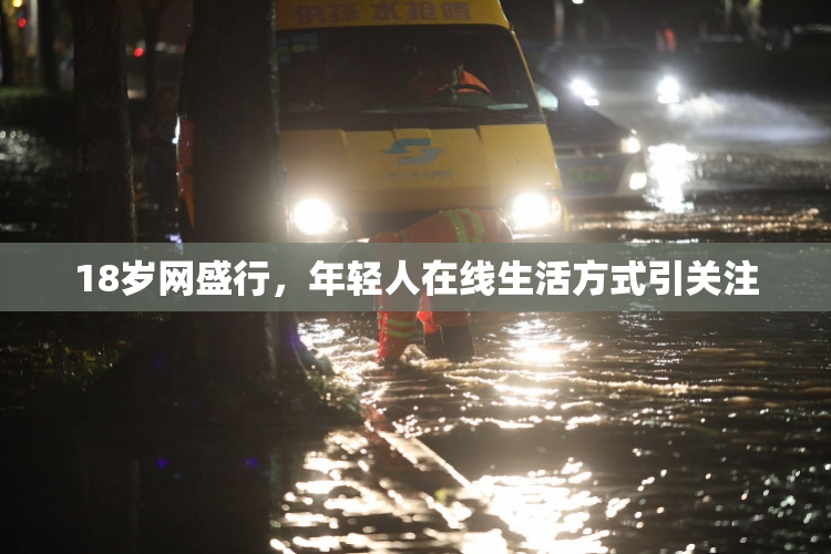 18岁网盛行，年轻人在线生活方式引关注