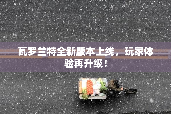 瓦罗兰特全新版本上线，玩家体验再升级！