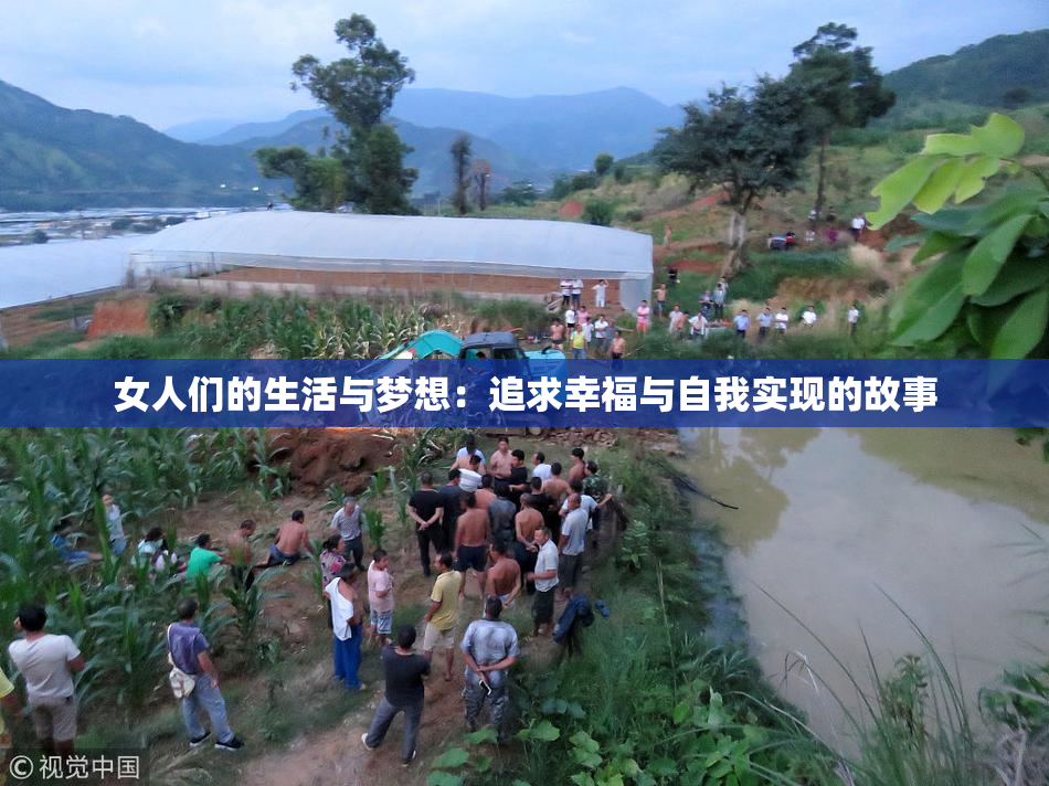女人们的生活与梦想：追求幸福与自我实现的故事
