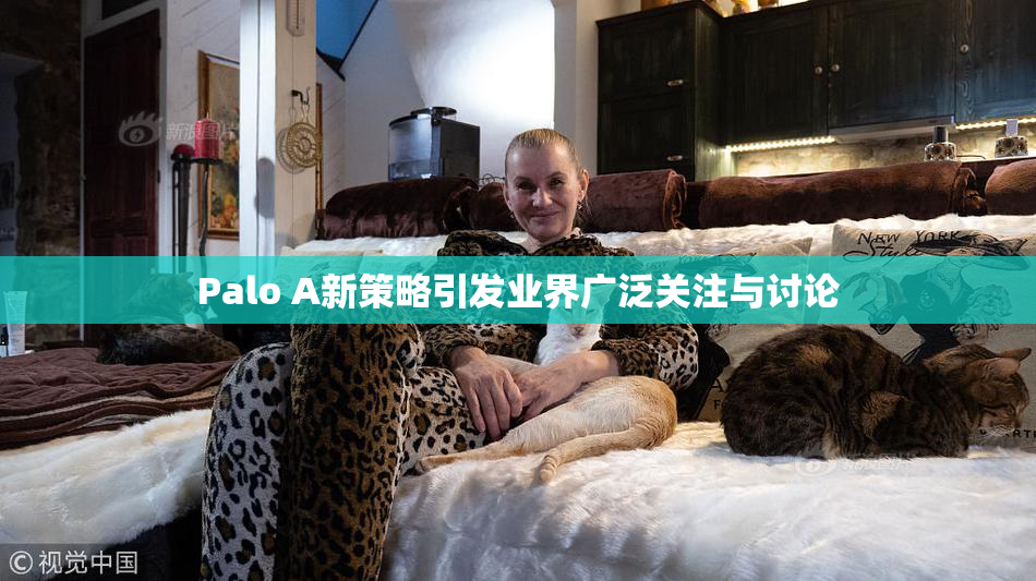 Palo A新策略引发业界广泛关注与讨论