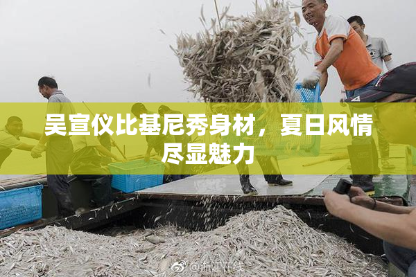 吴宣仪比基尼秀身材，夏日风情尽显魅力