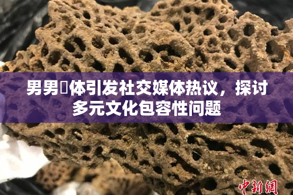 男男祼体引发社交媒体热议，探讨多元文化包容性问题