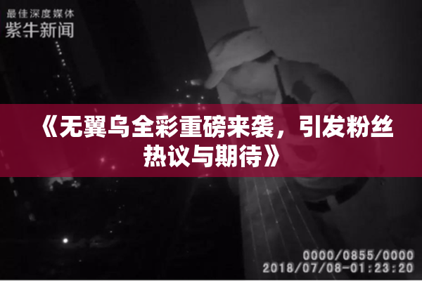 《无翼乌全彩重磅来袭，引发粉丝热议与期待》