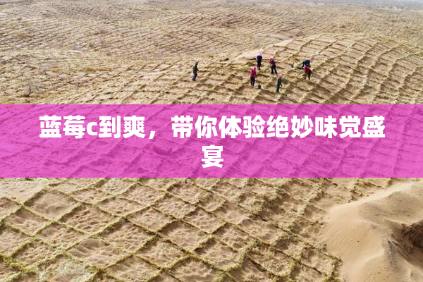 蓝莓c到爽，带你体验绝妙味觉盛宴