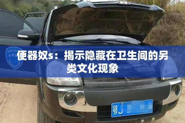 便器奴s：揭示隐藏在卫生间的另类文化现象