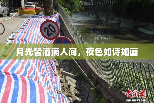 月光皆洒满人间，夜色如诗如画
