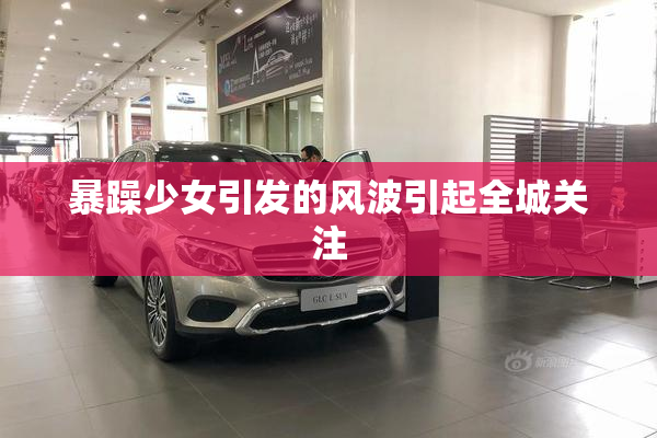 暴躁少女引发的风波引起全城关注
