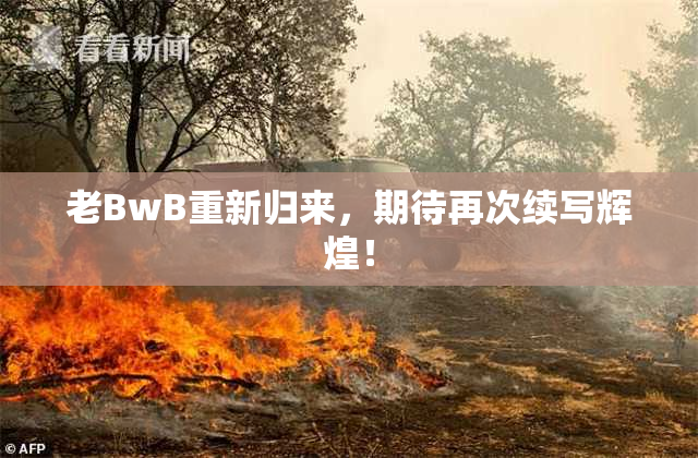 老BwB重新归来，期待再次续写辉煌！
