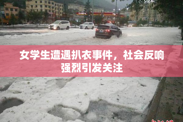 女学生遭遇扒衣事件，社会反响强烈引发关注