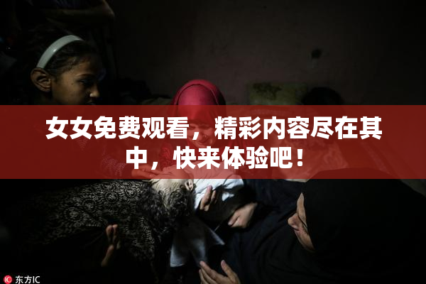 女女免费观看，精彩内容尽在其中，快来体验吧！