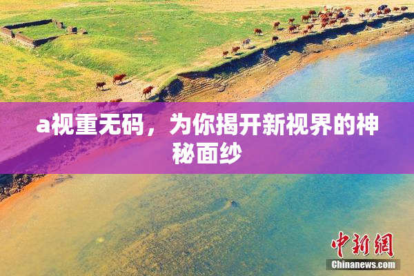 a视重无码，为你揭开新视界的神秘面纱