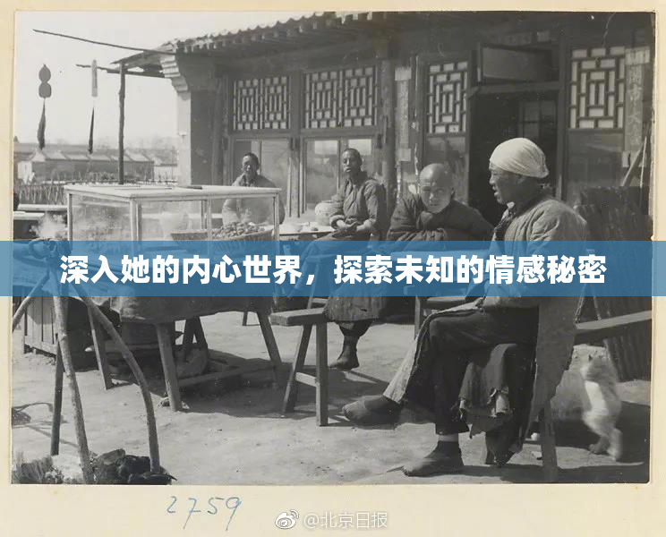 深入她的内心世界，探索未知的情感秘密