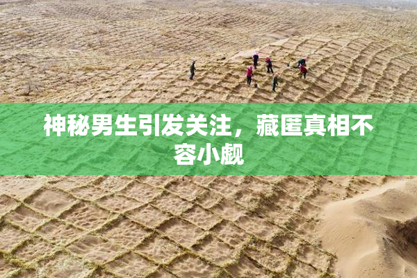 神秘男生引发关注，藏匿真相不容小觑