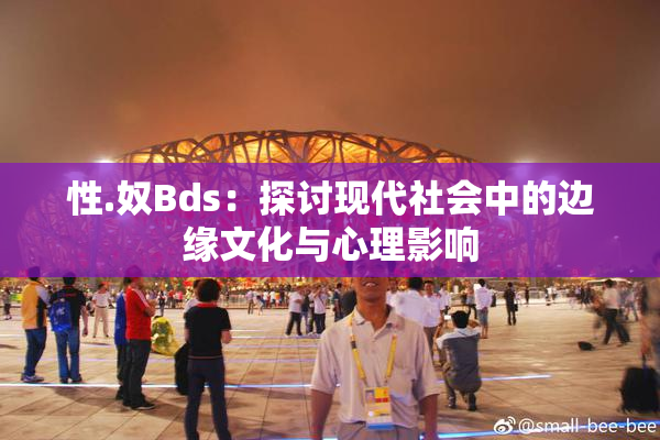 性.奴Bds：探讨现代社会中的边缘文化与心理影响