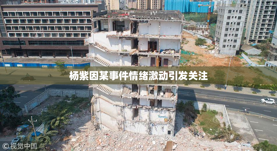 杨紫因某事件情绪激动引发关注