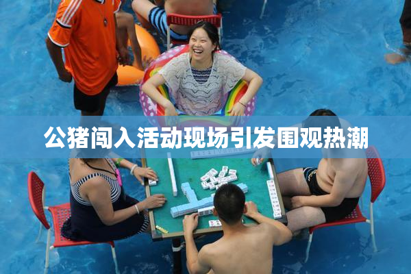 公猪闯入活动现场引发围观热潮
