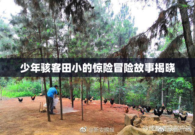 少年骇客田小的惊险冒险故事揭晓