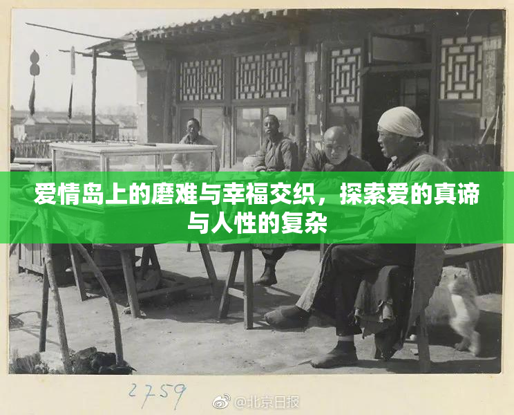 爱情岛上的磨难与幸福交织，探索爱的真谛与人性的复杂