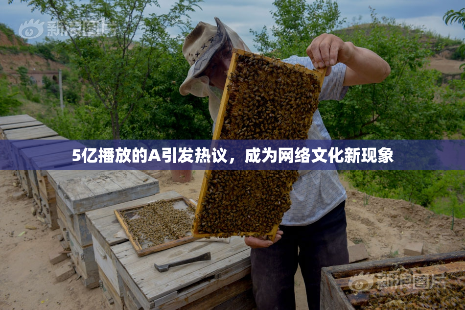 5亿播放的A引发热议，成为网络文化新现象