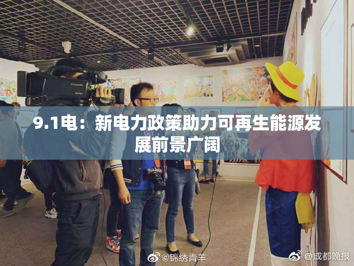 9.1电：新电力政策助力可再生能源发展前景广阔