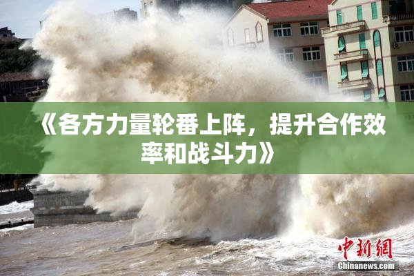《各方力量轮番上阵，提升合作效率和战斗力》