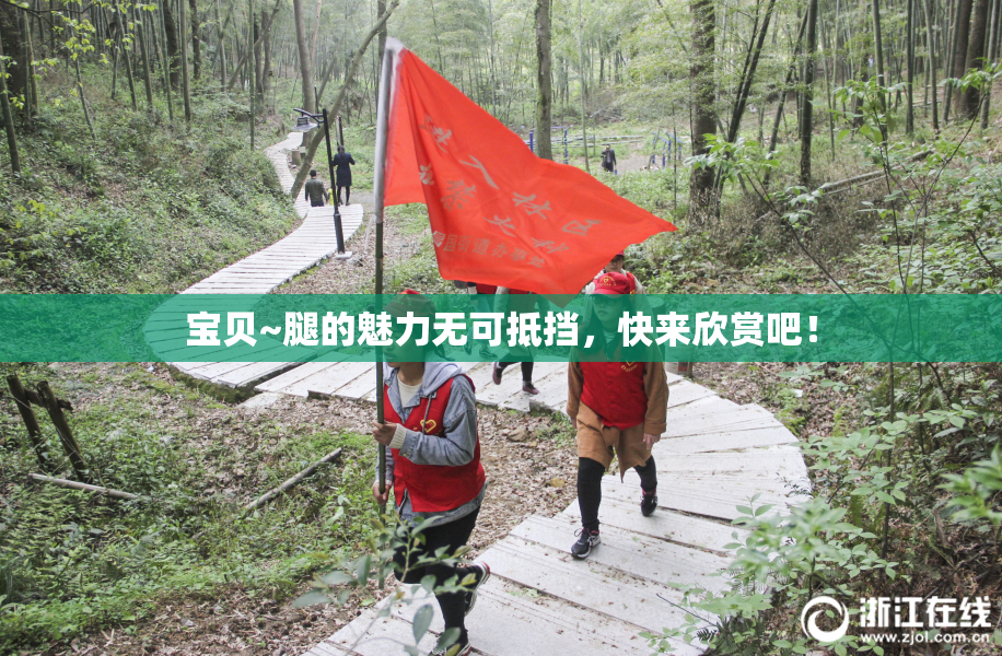 宝贝~腿的魅力无可抵挡，快来欣赏吧！