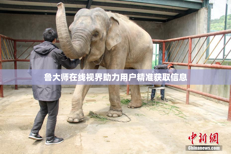 鲁大师在线视界助力用户精准获取信息