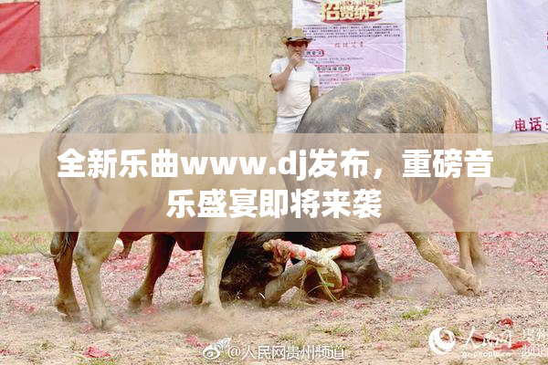 全新乐曲www.dj发布，重磅音乐盛宴即将来袭