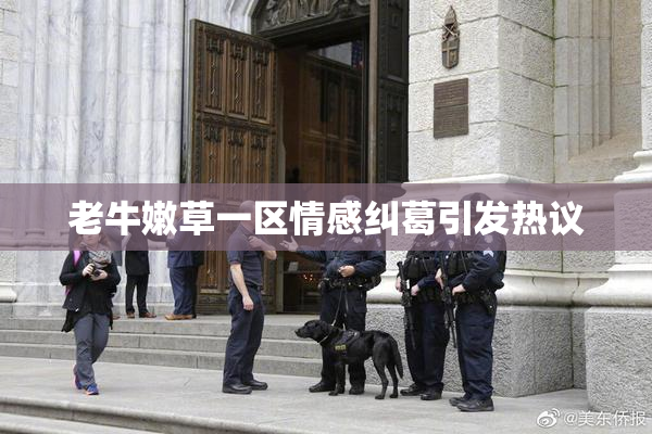 老牛嫩草一区情感纠葛引发热议