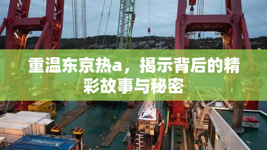 重温东京热a，揭示背后的精彩故事与秘密