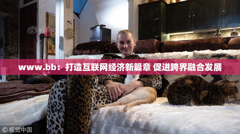 www.bb：打造互联网经济新篇章 促进跨界融合发展