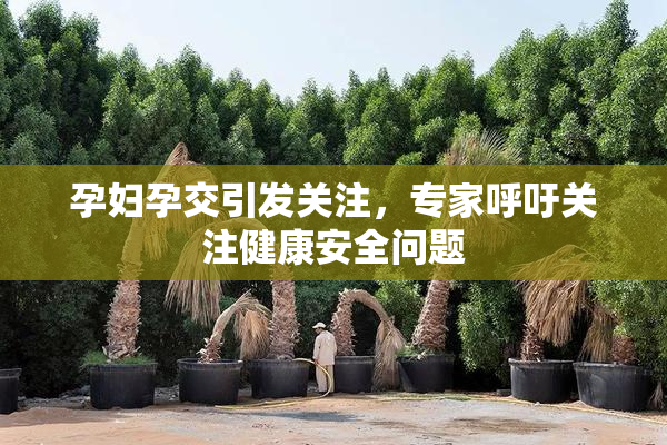 孕妇孕交引发关注，专家呼吁关注健康安全问题