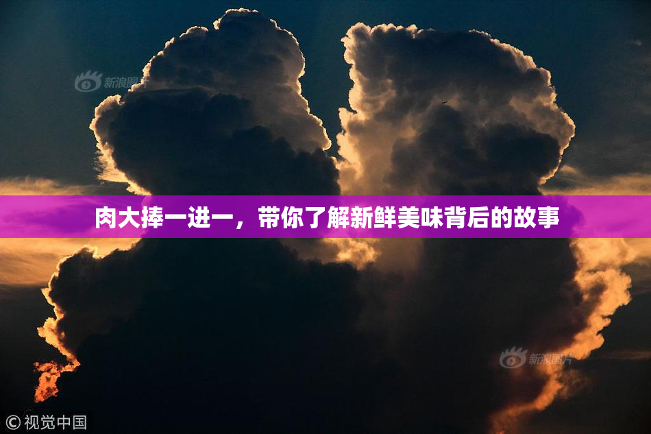 肉大捧一进一，带你了解新鲜美味背后的故事