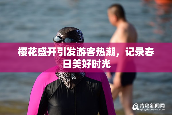 樱花盛开引发游客热潮，记录春日美好时光