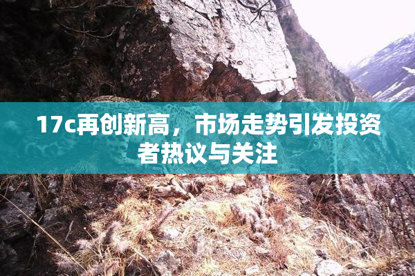 17c再创新高，市场走势引发投资者热议与关注