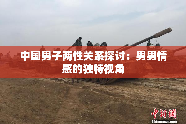 中国男子两性关系探讨：男男情感的独特视角