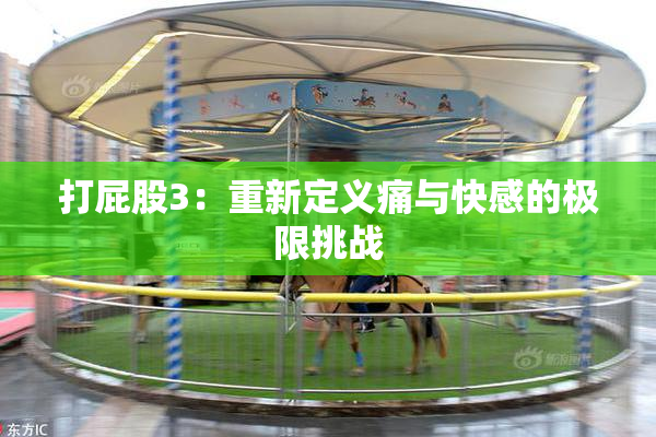 打屁股3：重新定义痛与快感的极限挑战
