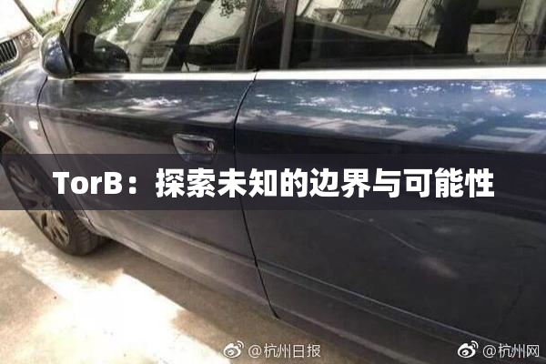 TorB：探索未知的边界与可能性