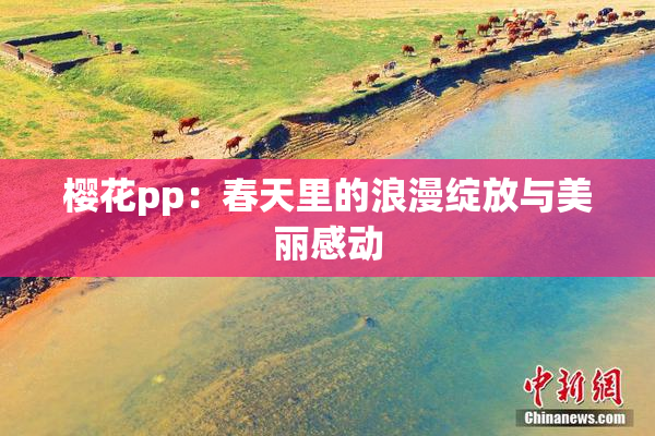 樱花pp：春天里的浪漫绽放与美丽感动