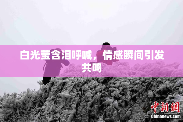白光莹含泪呼喊，情感瞬间引发共鸣
