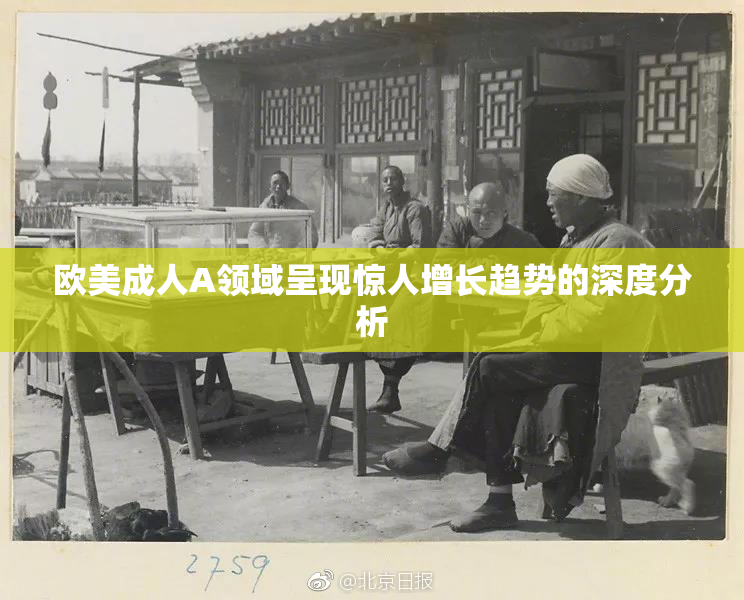 欧美成人A领域呈现惊人增长趋势的深度分析