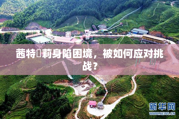 茜特菈莉身陷困境，被如何应对挑战？