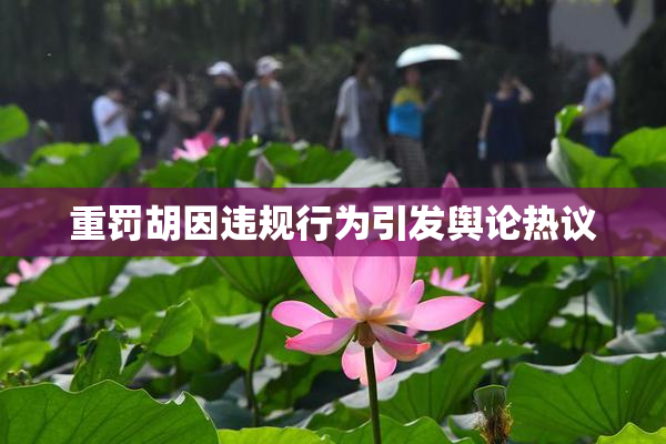 重罚胡因违规行为引发舆论热议